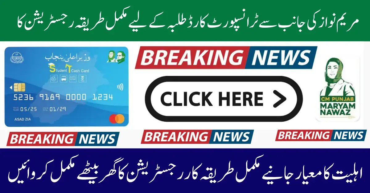 How to Apply for the Punjab Student T-Cash Card 2025 Step By Step Details