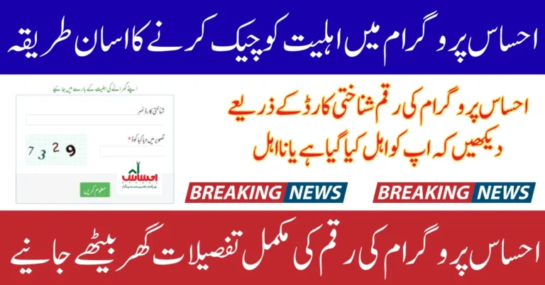 8171 Ehsaas Program Check CNIC Online Web Portal Guide 2025