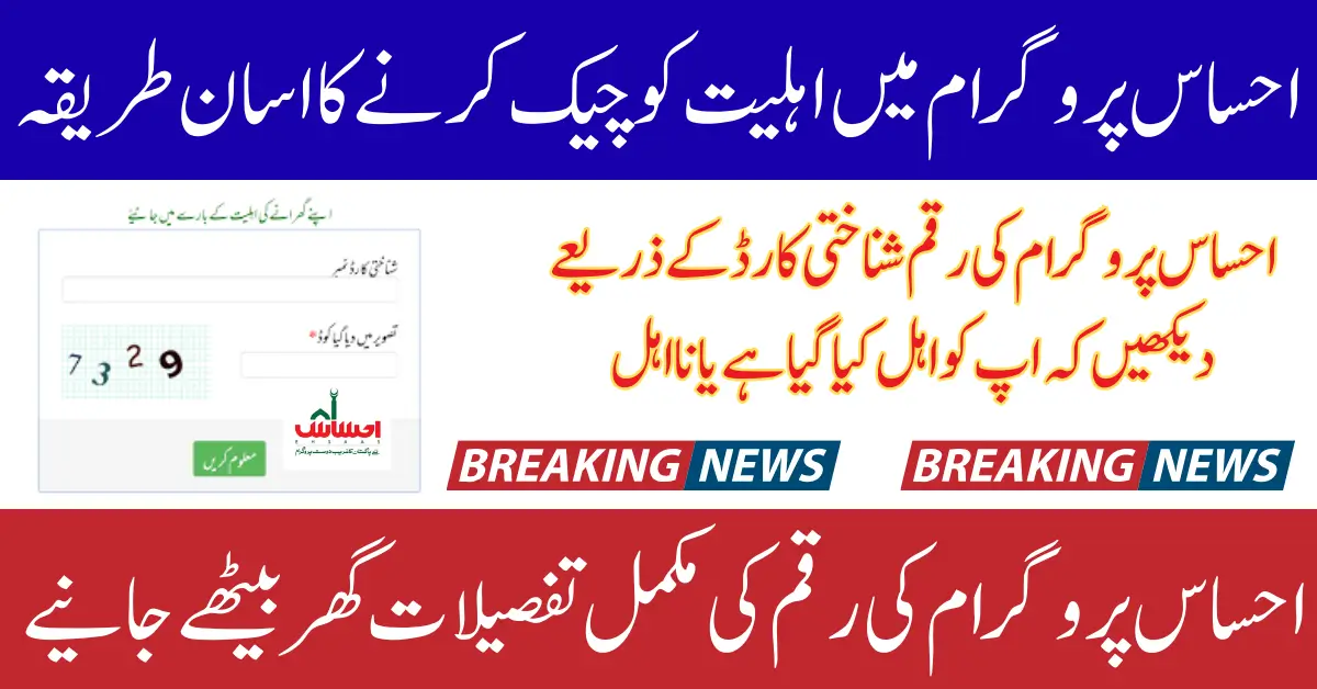 8171 Ehsaas Program Check CNIC Online Web Portal Guide 2025