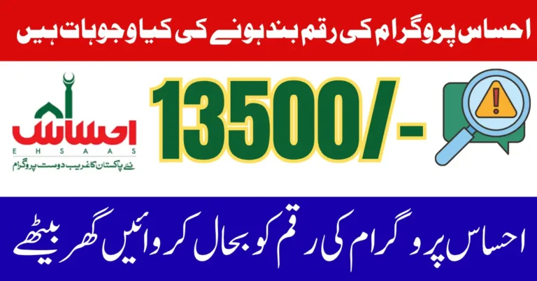 8171 Ehsaas Program Payment Issues Fix In August 2025 Complete Guide