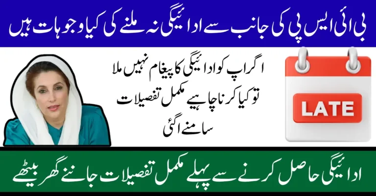 BISP 8171 SMS Issues 2025 Why Rs. 13,500 Payment Is Too Late, Know Reason and Solution