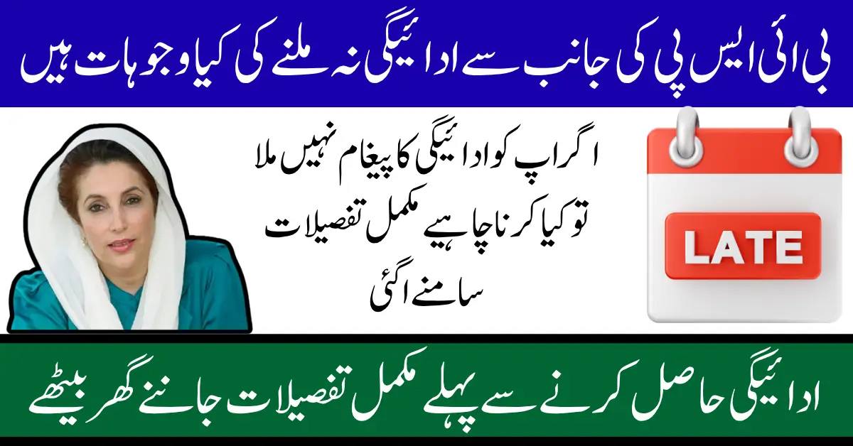 BISP 8171 SMS Issues 2025 Why Rs. 13,500 Payment Is Too Late, Know Reason and Solution