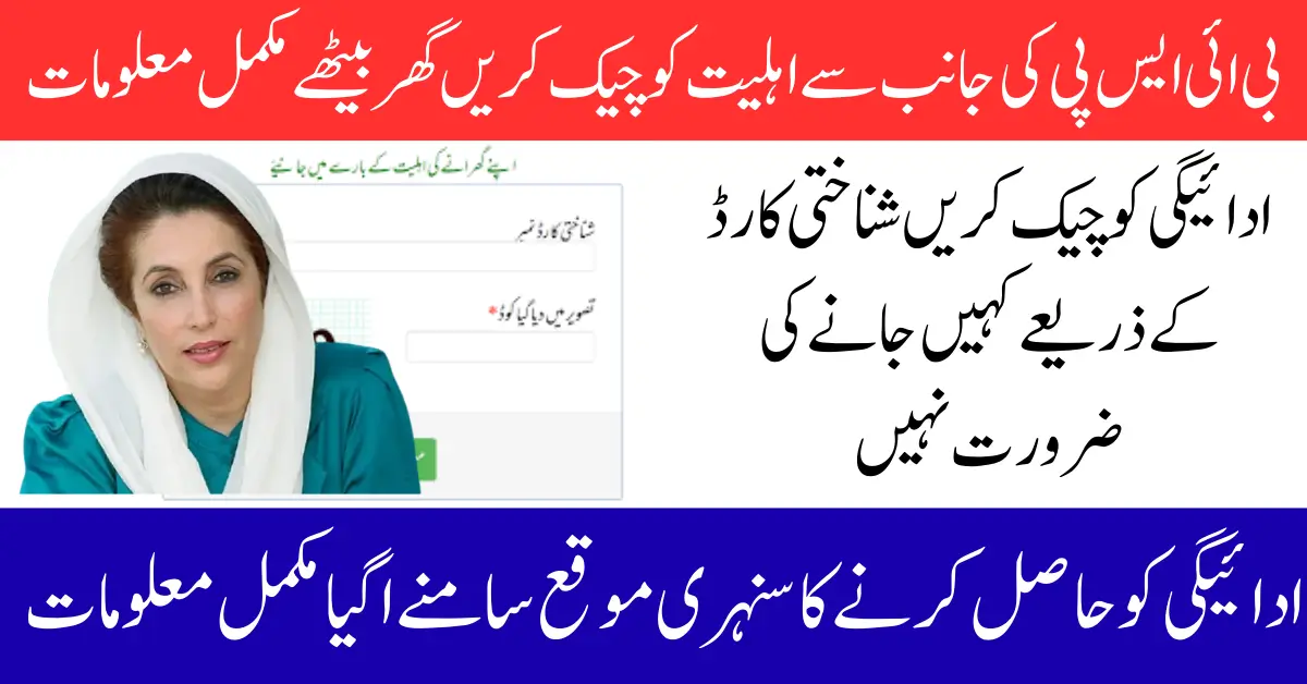 BISP 8171 Web Portal Re-Launch: Check Online CNIC Registration & Payment Status 2025