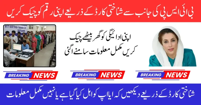 BISP September 2025 Payments CNIC Check and Status Update at 8171 Portal