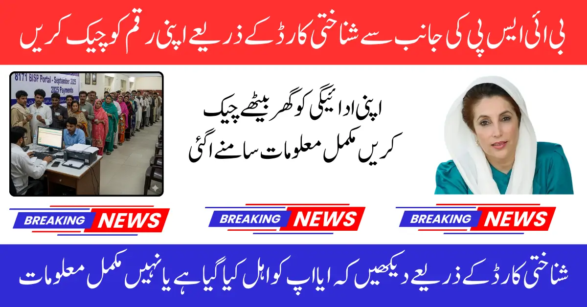 BISP September 2025 Payments CNIC Check and Status Update at 8171 Portal