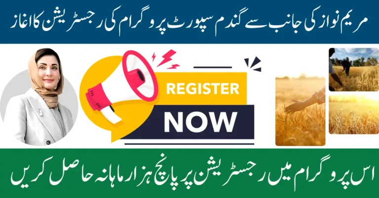 CM Punjab Wheat Support Program Online Registration And Eligibility Criteria 2025 Full Guide