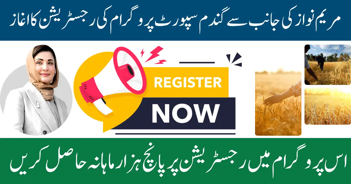CM Punjab Wheat Support Program Online Registration And Eligibility Criteria 2025 Full Guide