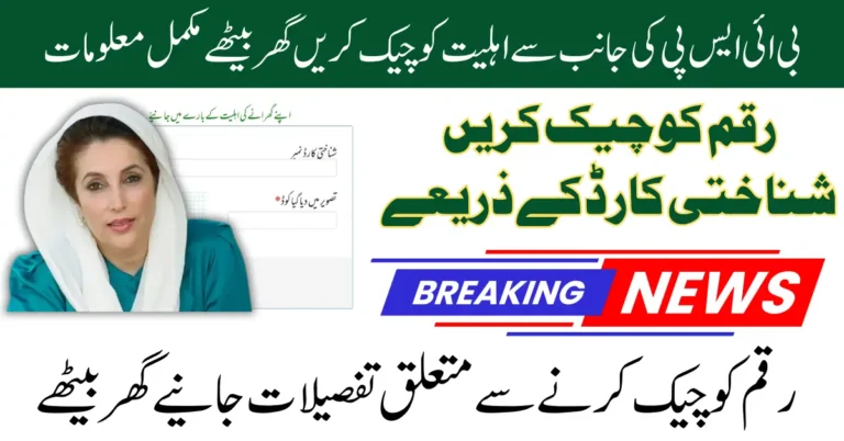 Check BISP Eligibility Online 8171 Check Instantly Via Online & SMS Service 2025