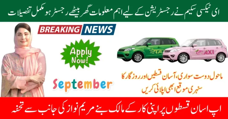 E-Taxi Scheme 2025 Online Registration September Updated Full Guide
