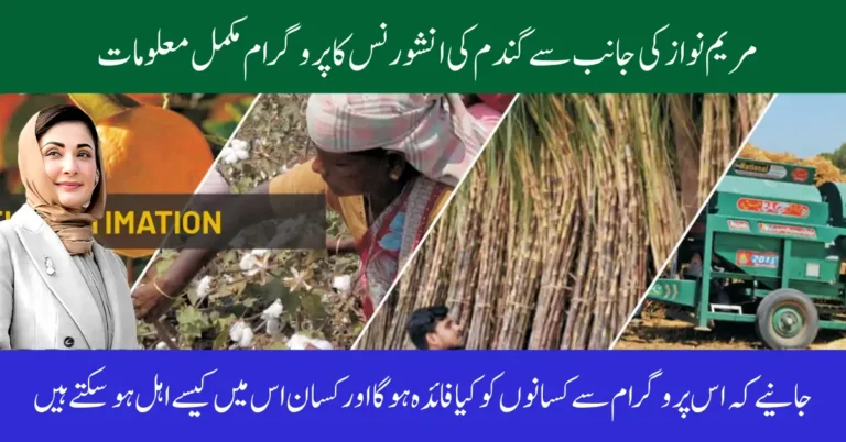 Punjab Crop Insurance Scheme 2025 – Online Apply & Benefits for Farmers