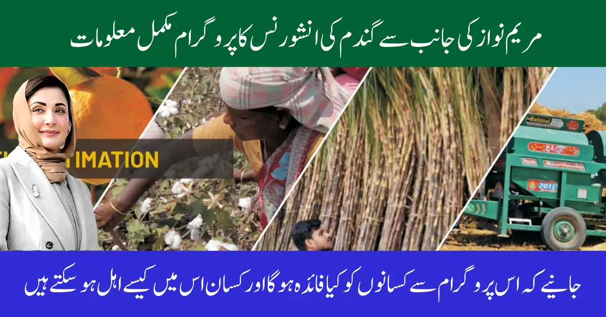 Punjab Crop Insurance Scheme 2025 – Online Apply & Benefits for Farmers