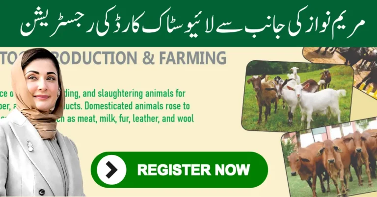 Punjab Launches Livestock Program: Free Cows & Buffaloes for Women in 12 Districts