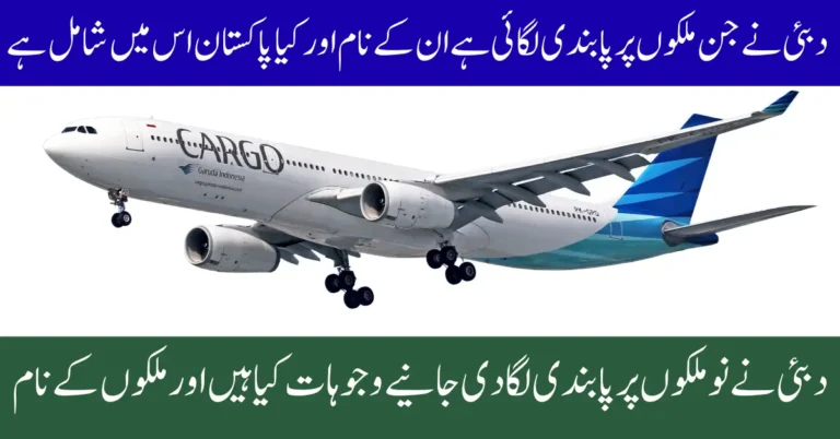 UAE Bans Visit and Work Visas for 9 Countries Details Inside