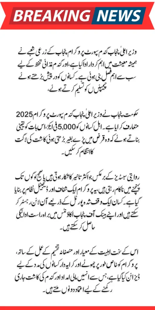 CM Punjab Wheat Support Program Online Registration And Eligibility Criteria 2025 Full Guide