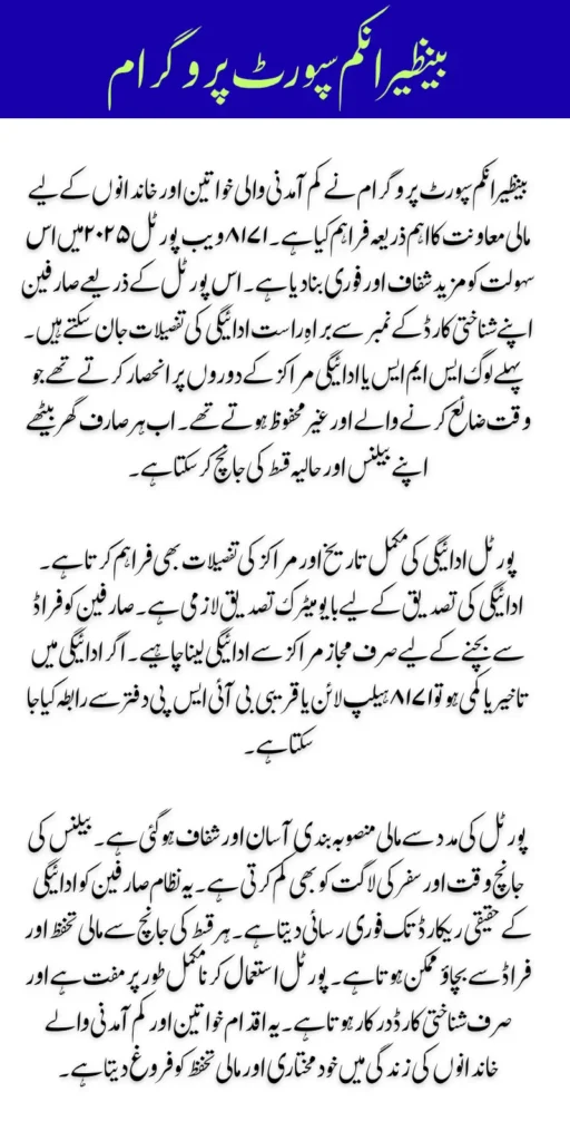 BISP 8171 Web Portal Balance Check and Recent Release Payment Details