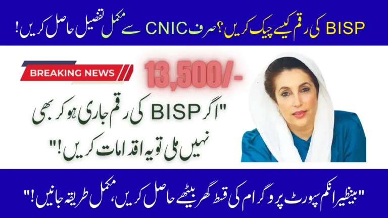 BISP Payment Tracking CNIC 2025 Check Important Tips for Beneficiaries