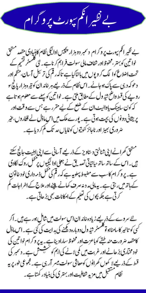 BISP December 2025 Payment Cluster Distribution Process